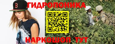 ГАЛЛЮЦИНОГЕННЫЕ ГРИБЫ Нальчик