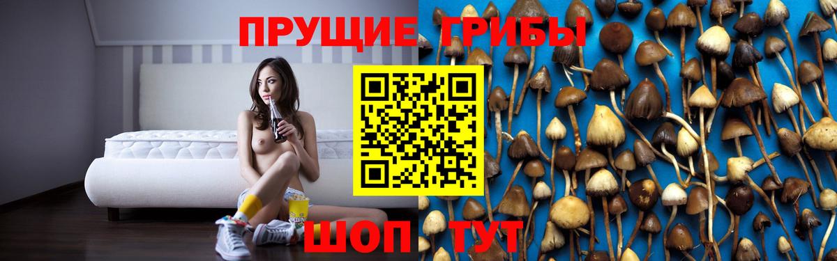 Унеча  Галлюциногенные грибы мицелий  Вход с VPN  купить закладку  Галлюциногенные грибы ЛСД 